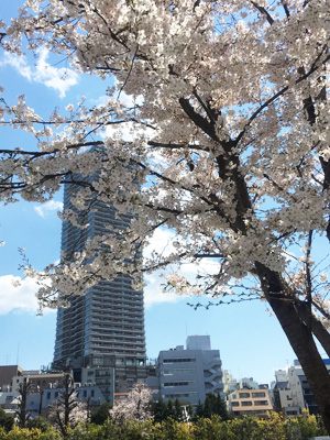 南池袋公園からの眺め
